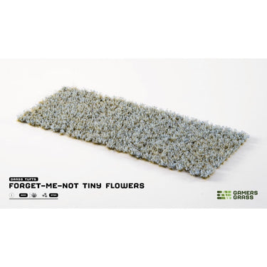 Gamers Grass GGFS-FMN Forget-me-not Tiny Flowers